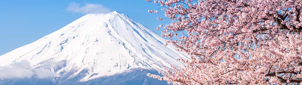 Cma Cgm Cma Cgm Japan About Us