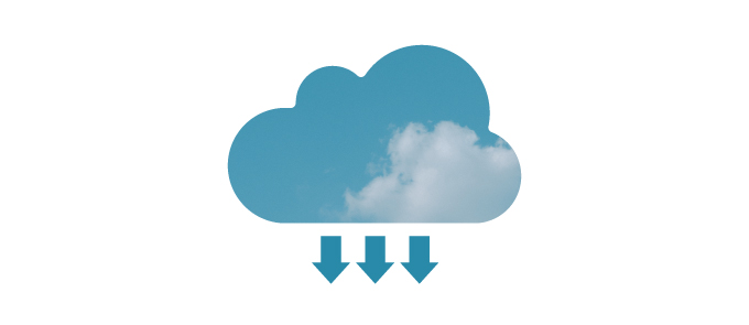 Carbon offset logo