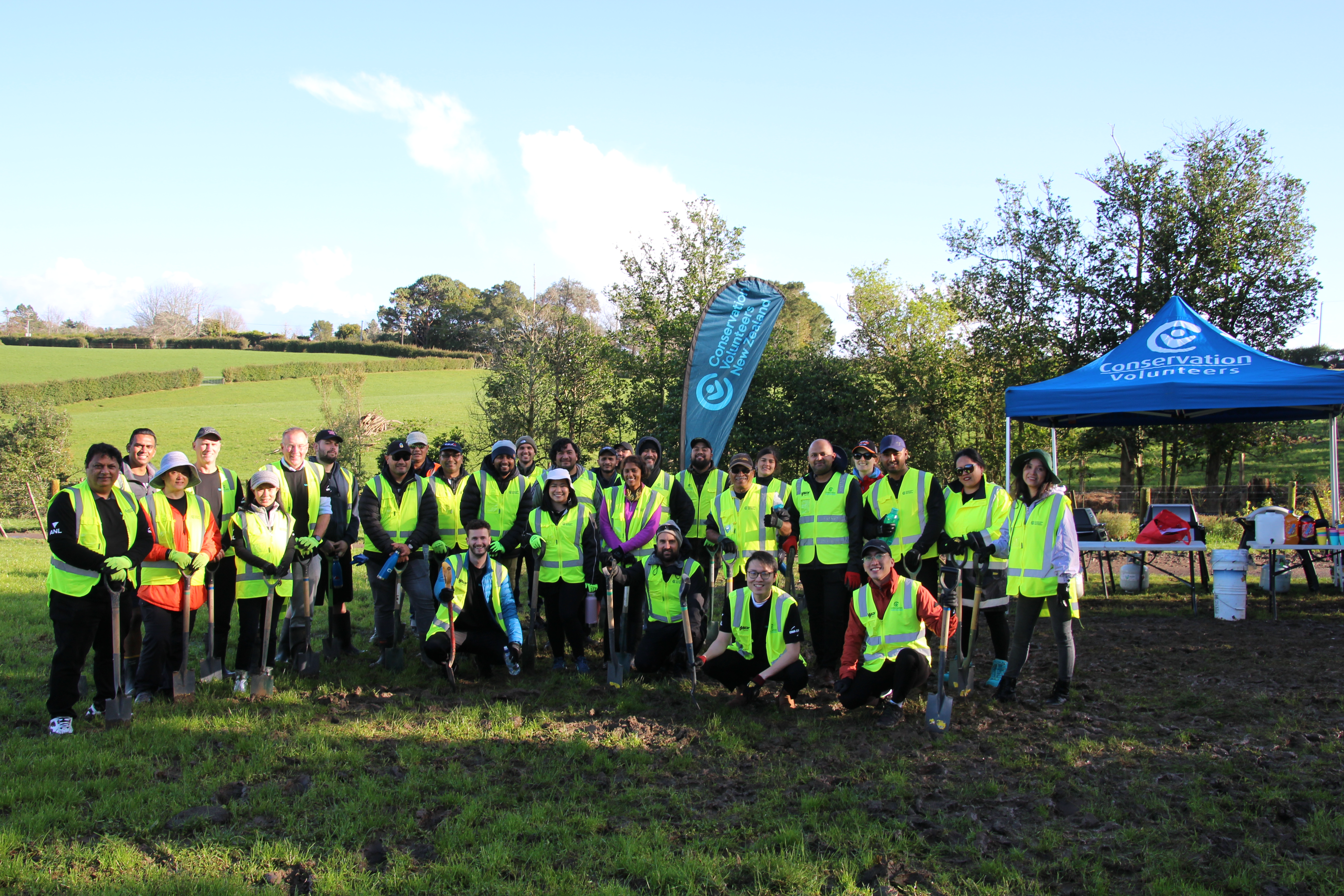 nz Tree planting 