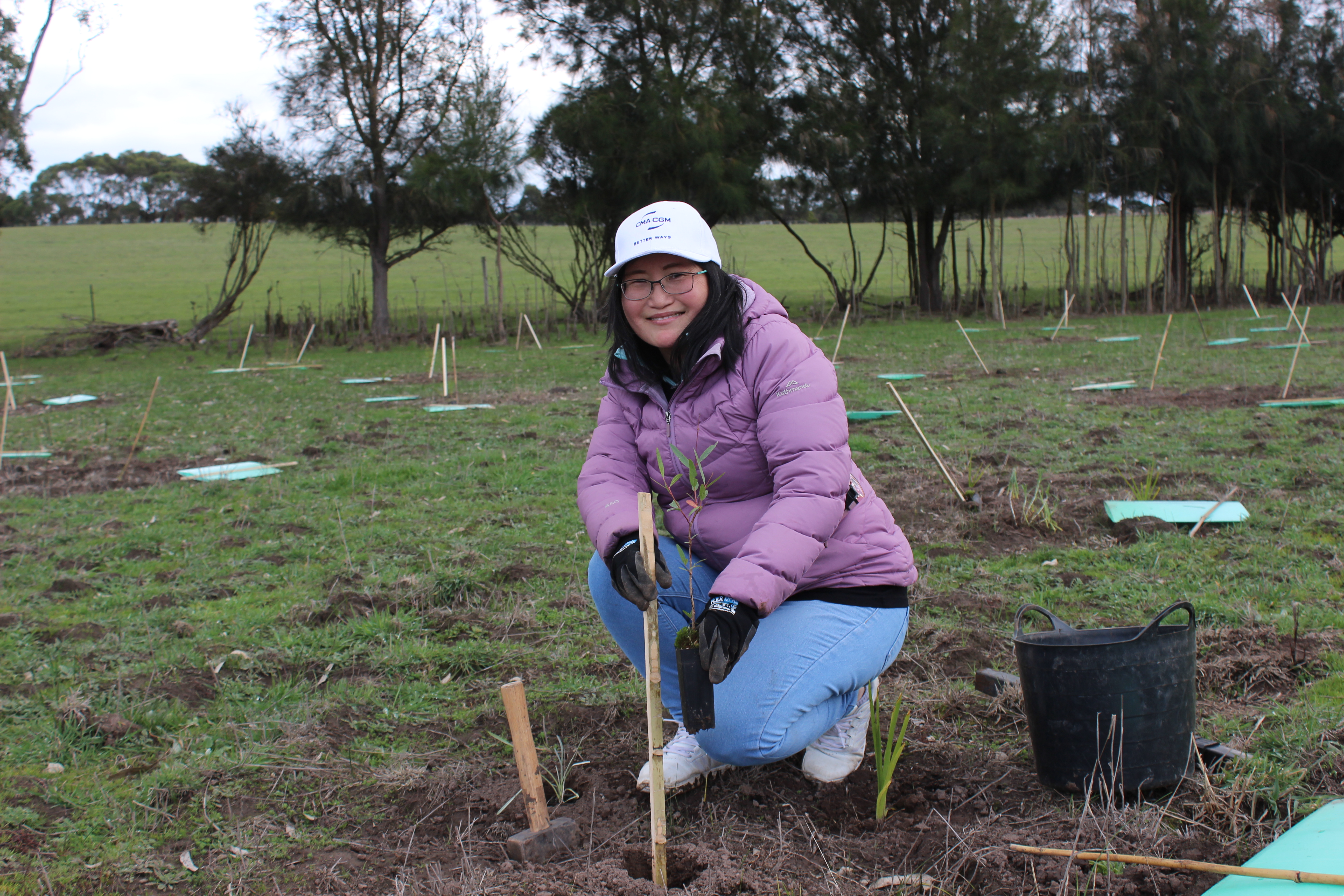 KOALA PLANTING