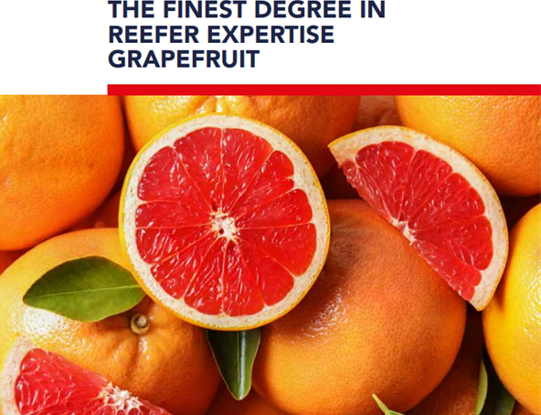 grapefruit