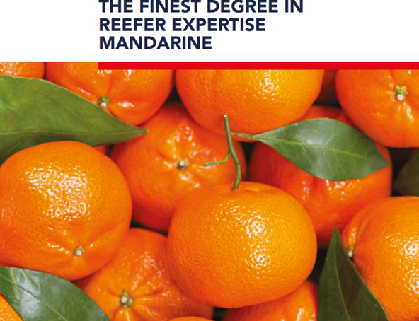 mandarine