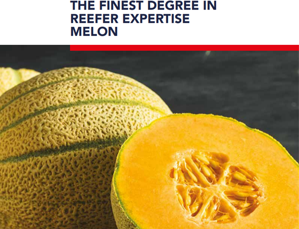 melon