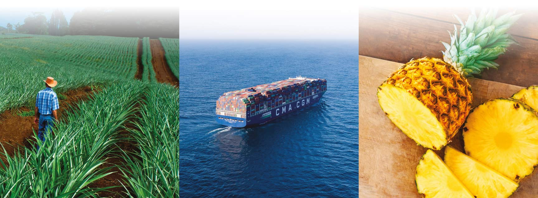 CMA CGM | A world leader in maritime and logistics